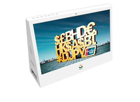 Dual-display